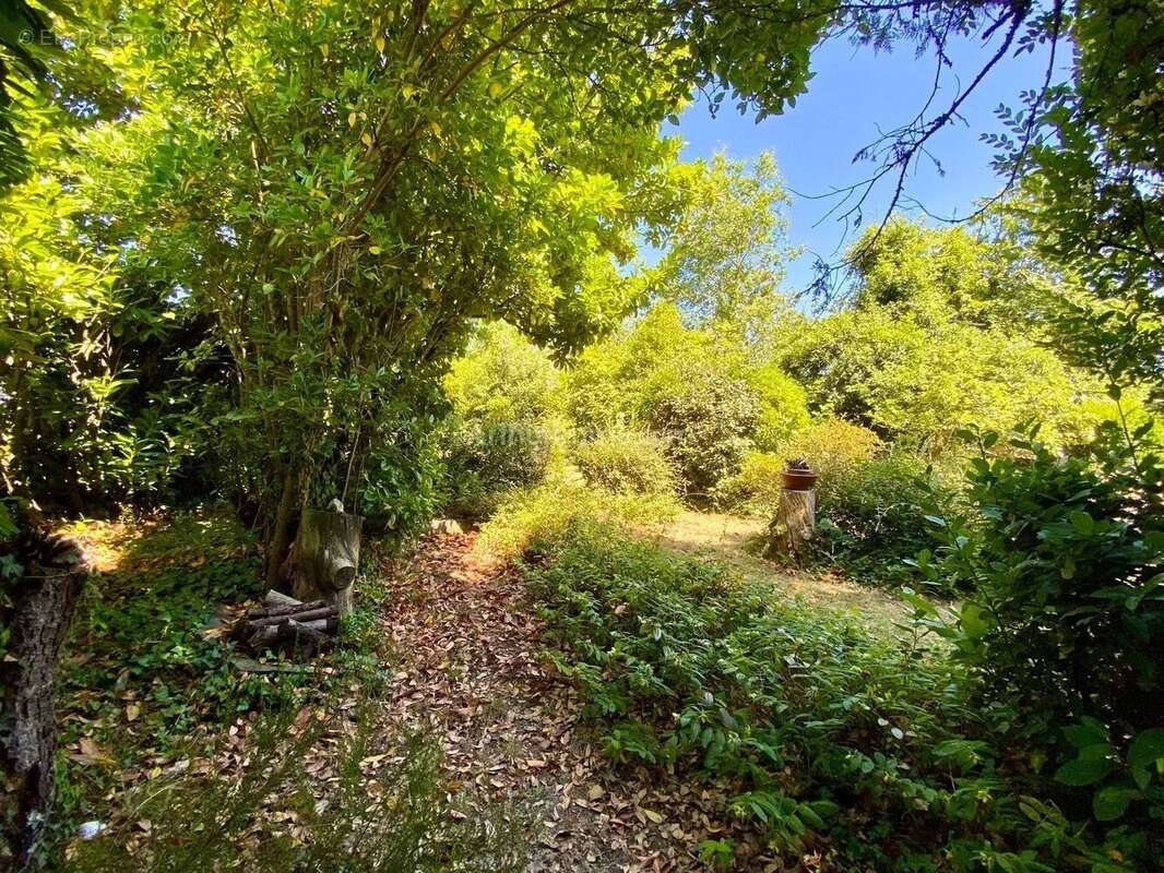 Terrain à SAINT-AVE