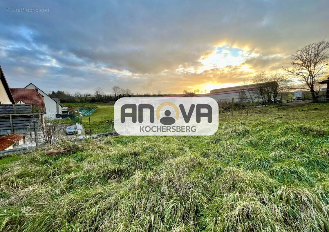 Terrain à WILLGOTTHEIM