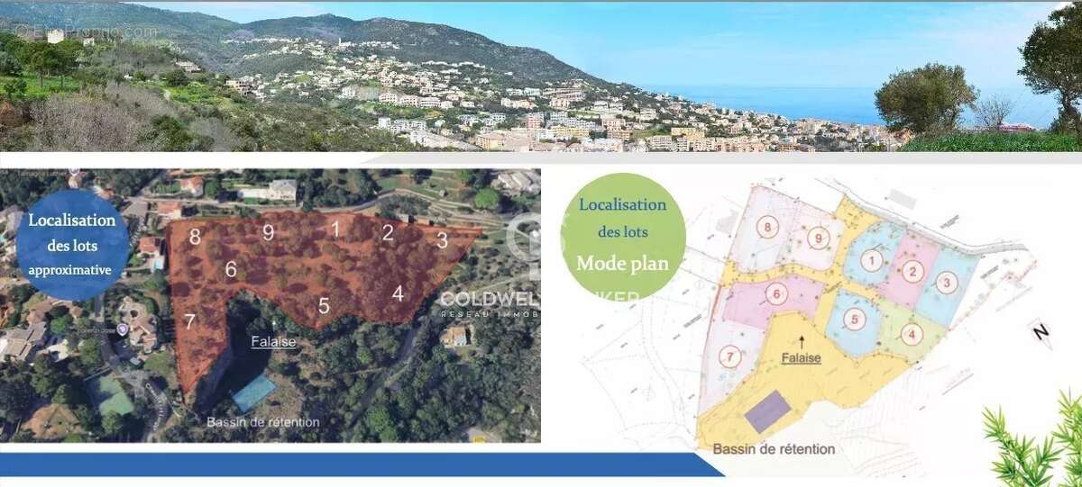 Terrain à SAN-MARTINO-DI-LOTA