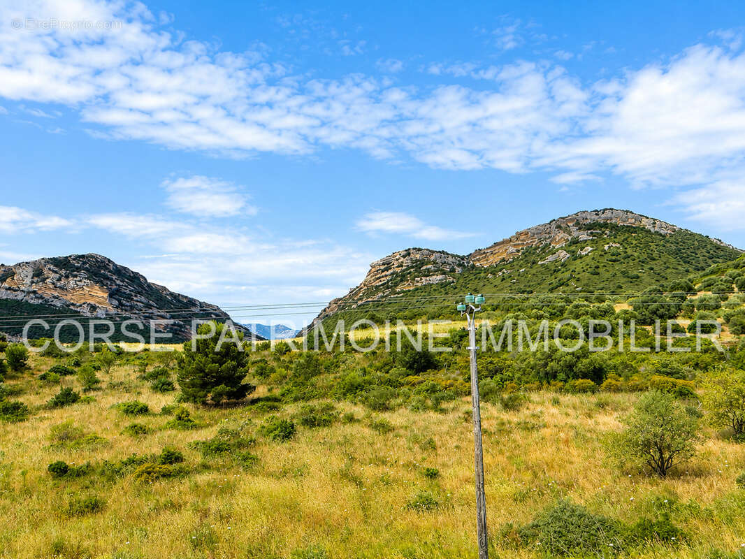 Hôtel à Patrimonio - photo 21