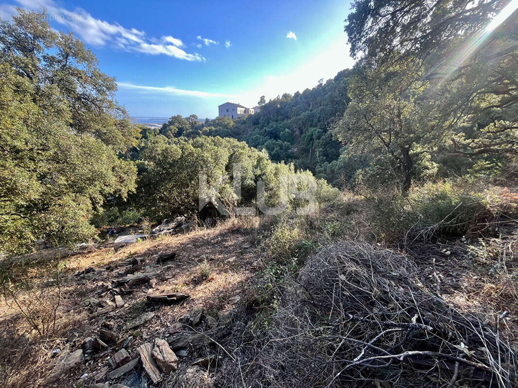 Terrain à BASTIA
