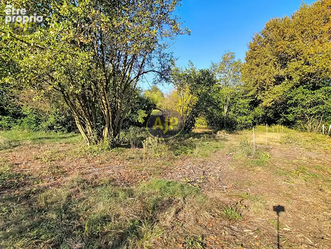 Terrain à SAINT-VIVIEN-DE-MEDOC