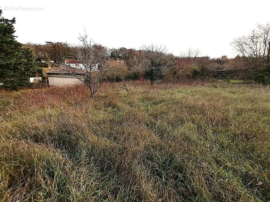 Terrain à CROUTELLE