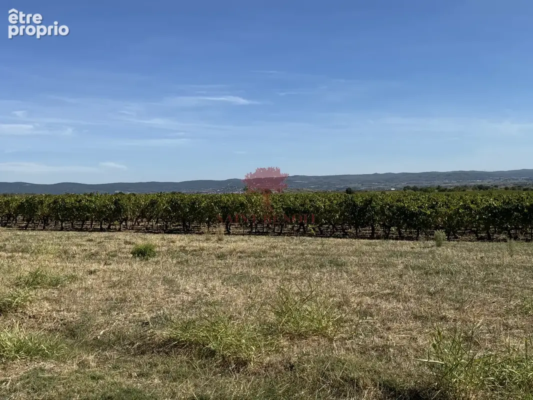 Photo Terrain à Saint-Saturnin-De-Lucian au prix de 142 000€