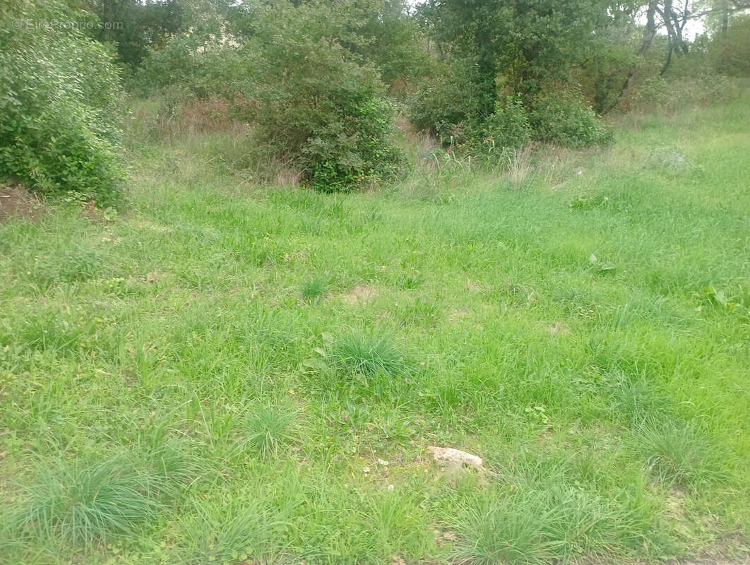Terrain à BAGNOLS-SUR-CEZE