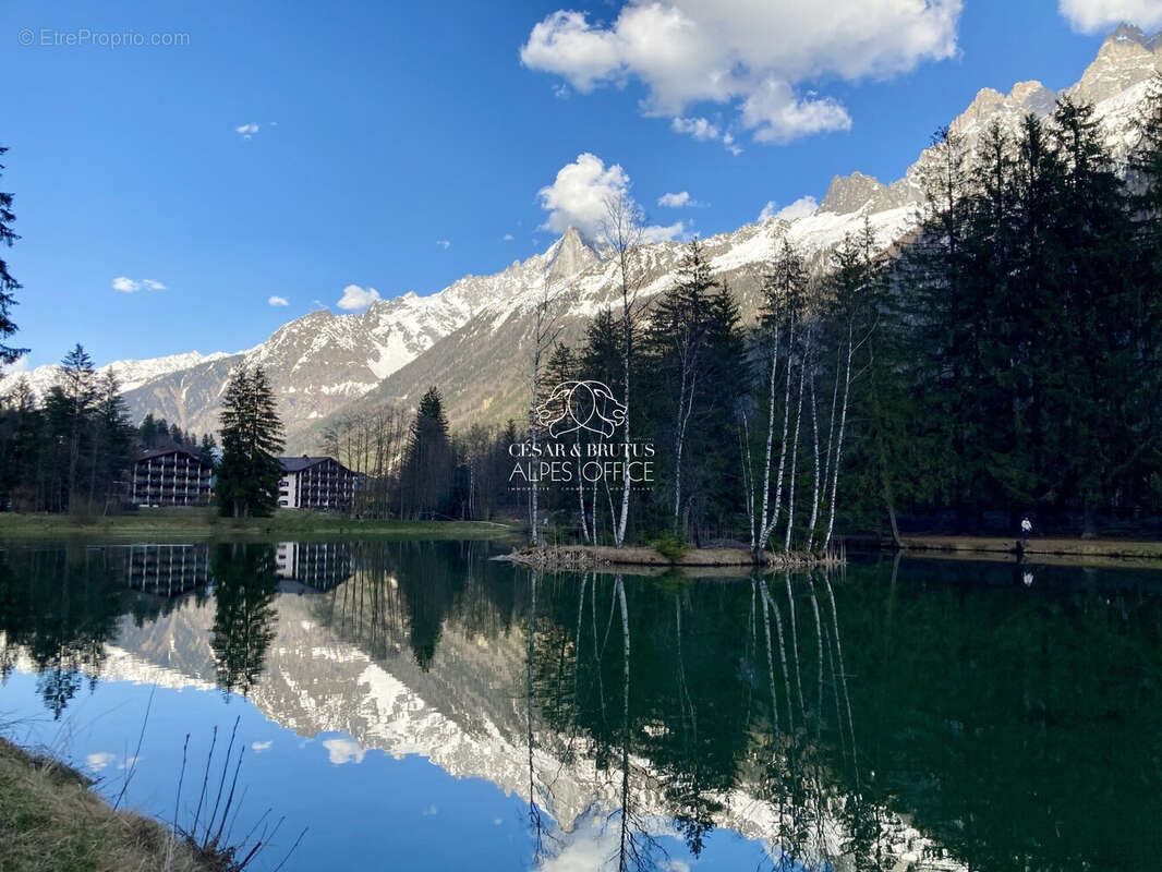Appartement à CHAMONIX-MONT-BLANC