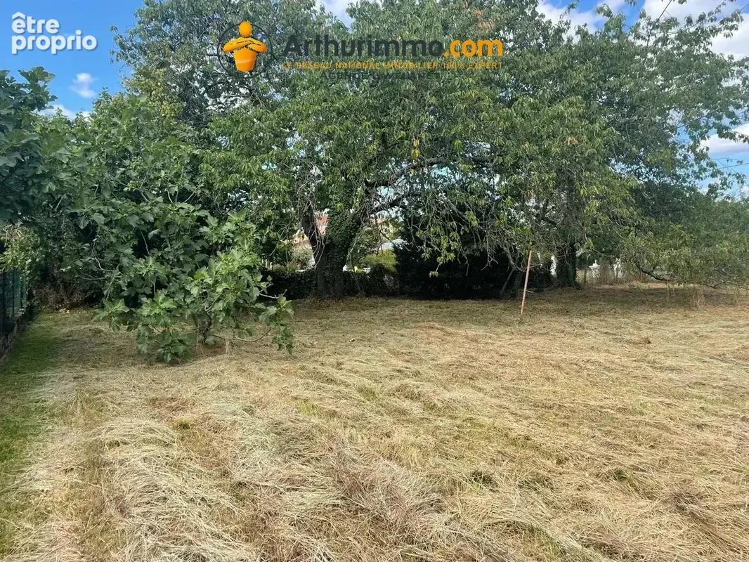 Terrain constructible et plat à vendre à Laroque-d'Olmes - photo 3