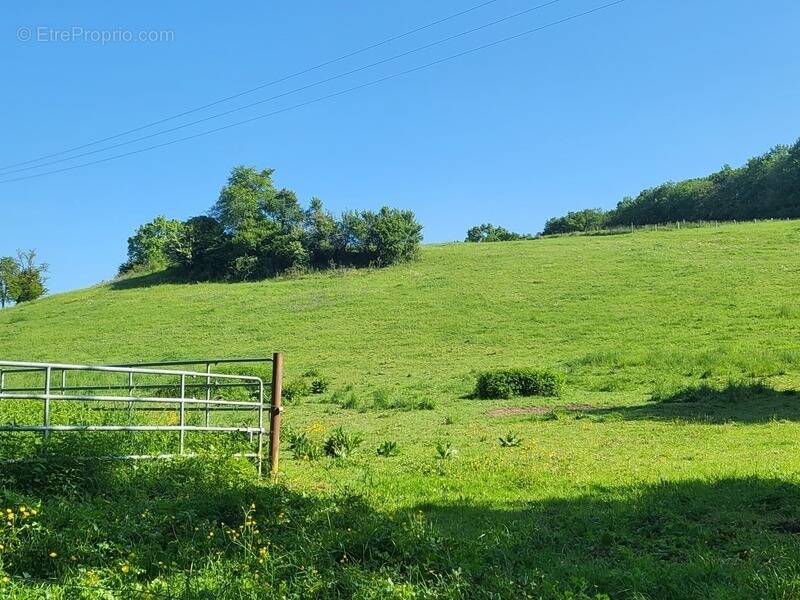 Terrain à SAINT-CAPRAIS-DE-LERM