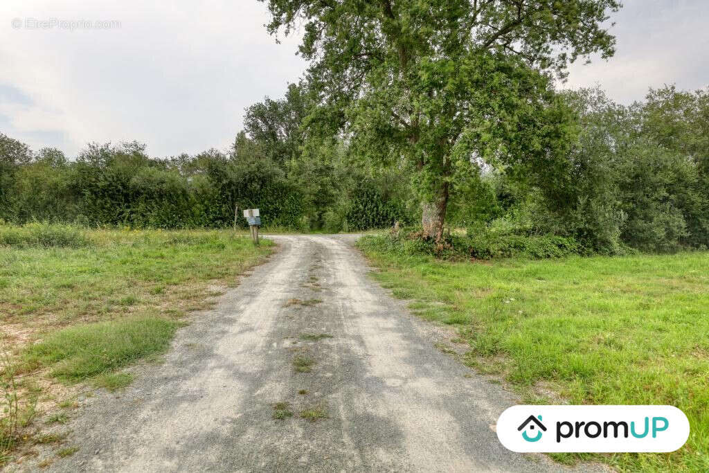 Terrain à SAINT-MARS-LA-BRIERE