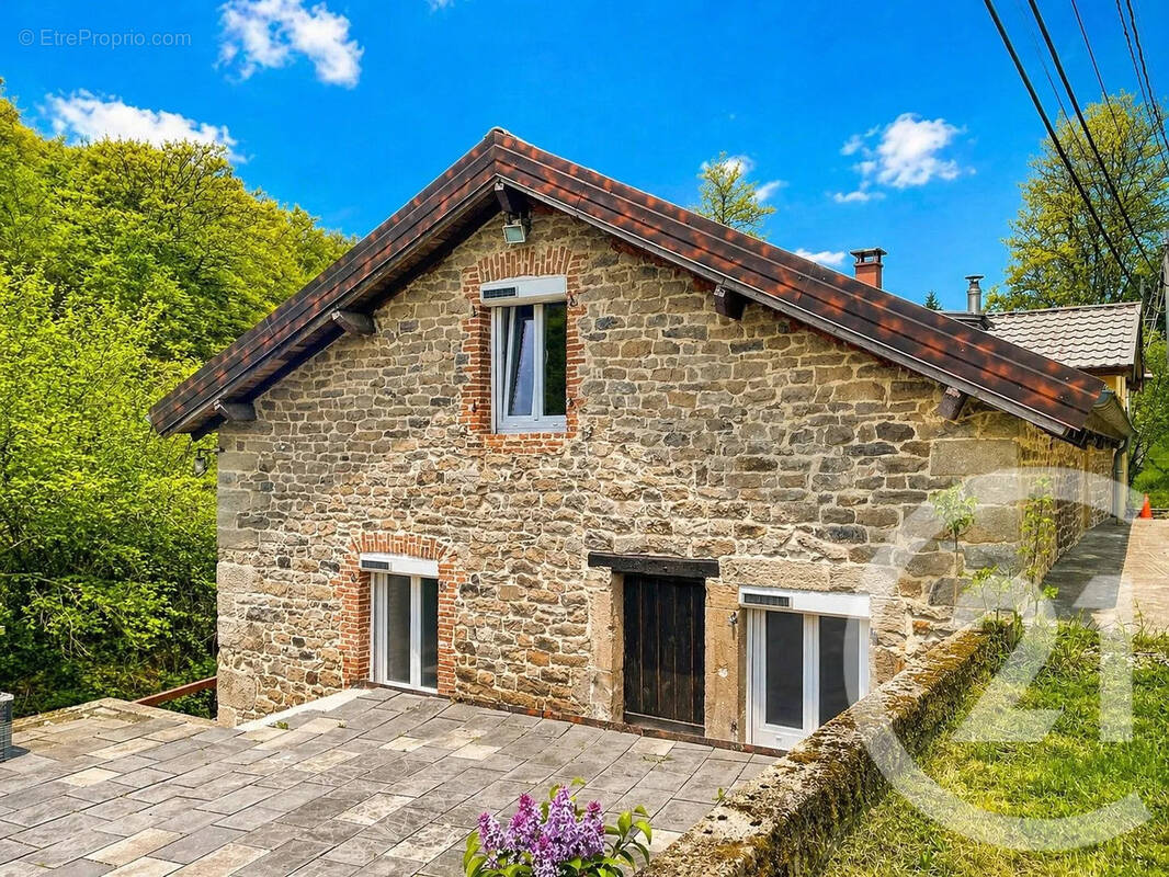 Maison 212 m² à Bains-Les-Bains  - photo 1
