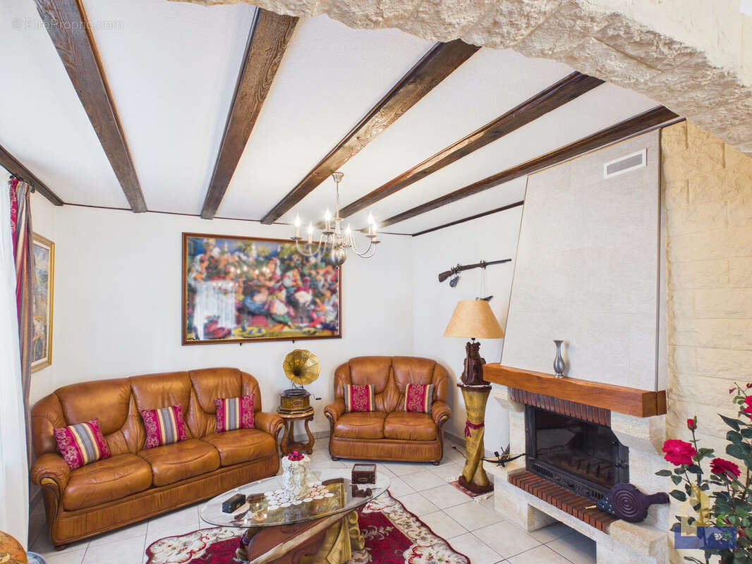 salon avec cheminée - Maison à COLMAR