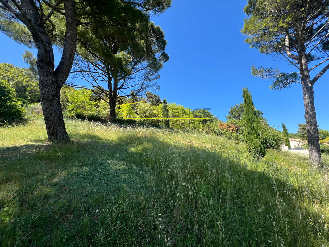 Terrain à SAVASSE
