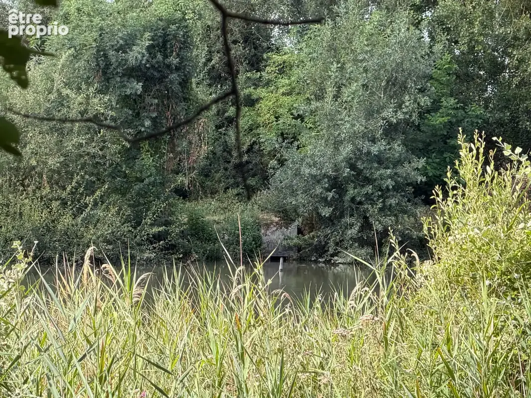 Terrain de loisirs avec étang - photo 3