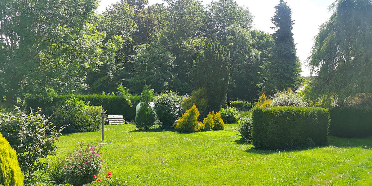 Maison à AUBIGNY-EN-ARTOIS