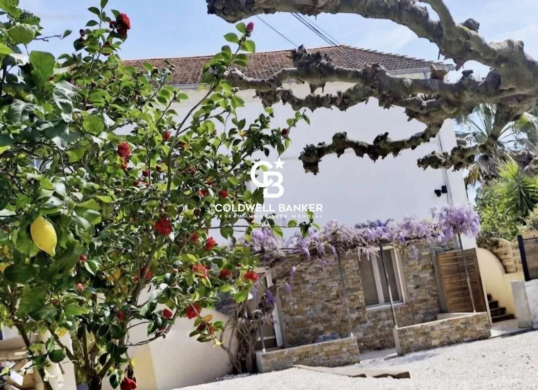 Maison à BORMES-LES-MIMOSAS