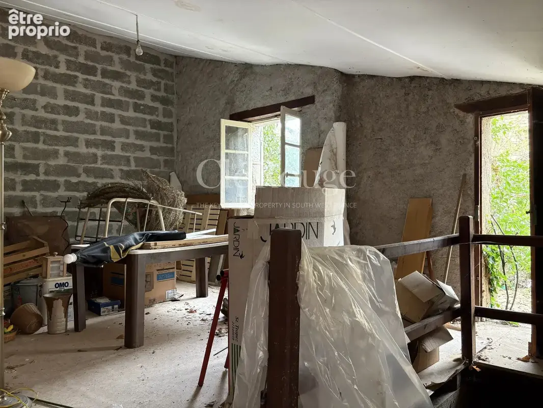 Tonneins - Demeure de caractère avec piscine et jardin arboré, six chambres au cœur de la ville - photo 21