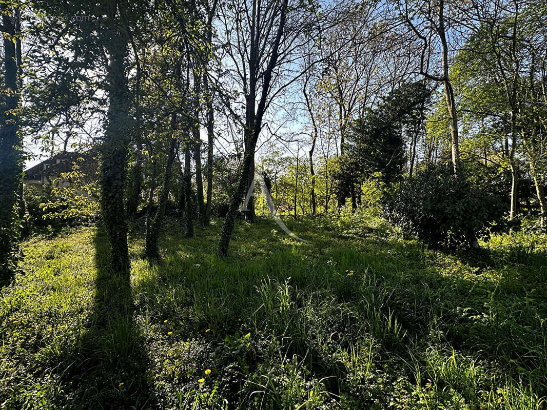 Terrain à THORIGNY-SUR-MARNE