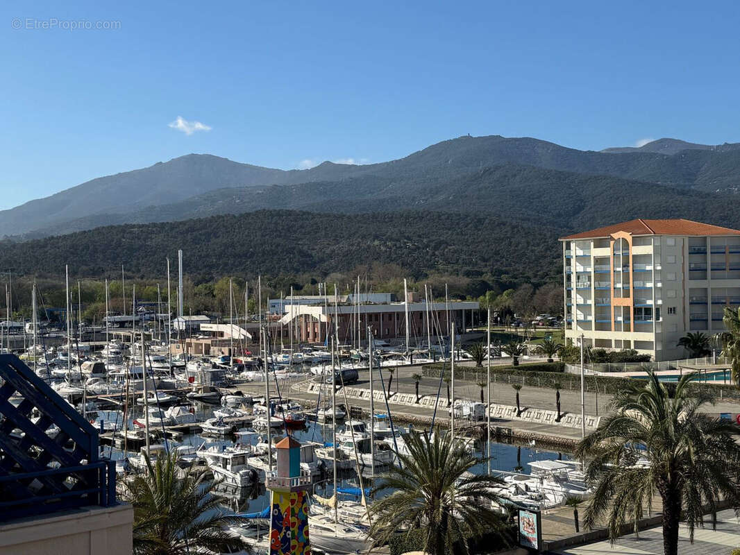 Photo 2 - Appartement à ARGELES-SUR-MER