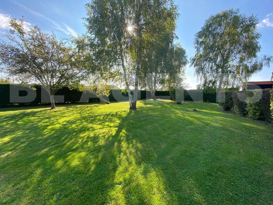 WhatsApp Image 2025-10-14 à 17 - Maison à SOULIGNE-SOUS-BALLON