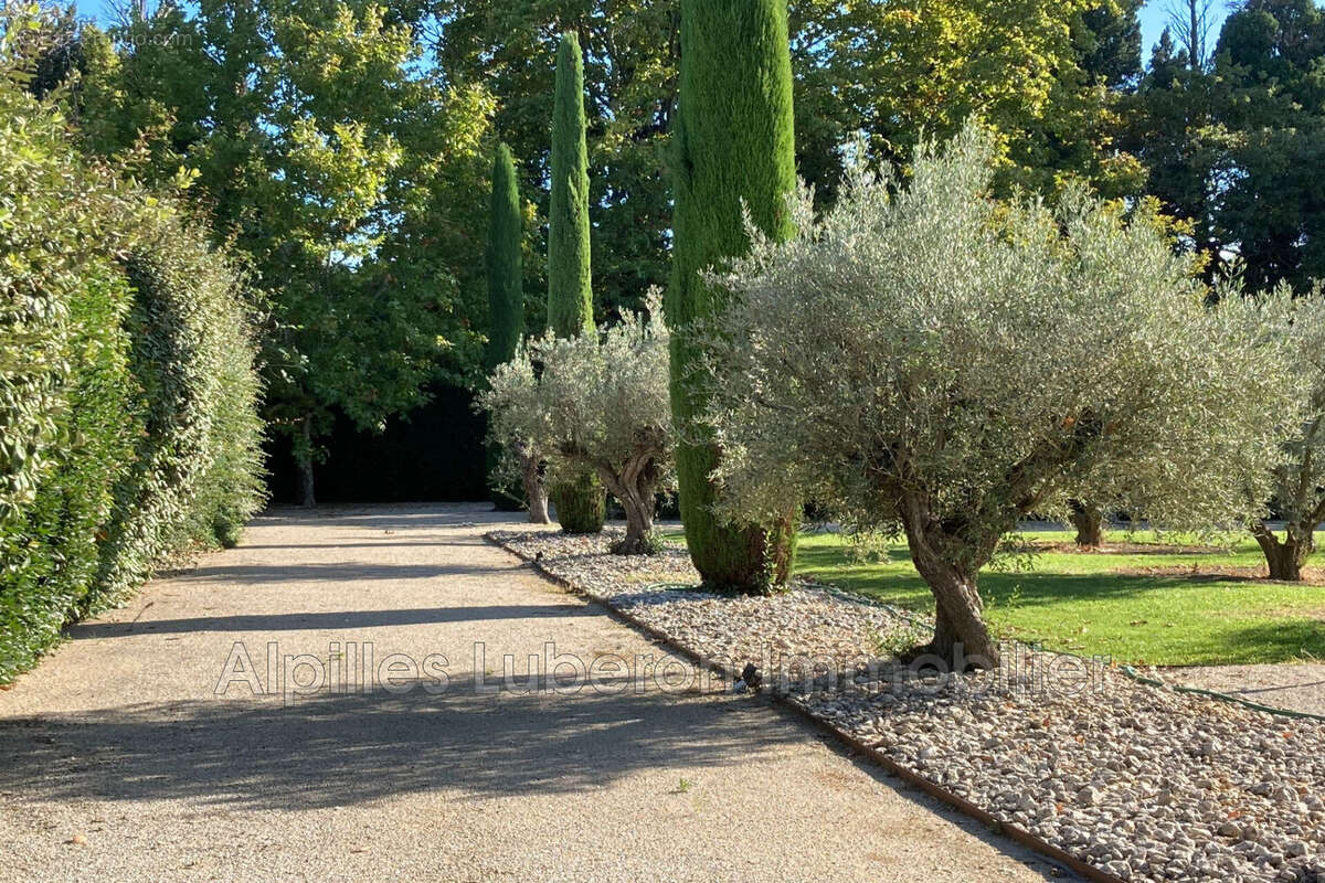 Maison à SAINT-REMY-DE-PROVENCE
