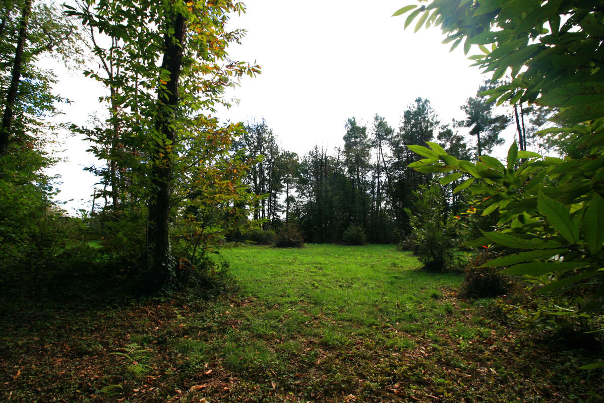 Superbe terrain constructible - photo 5
