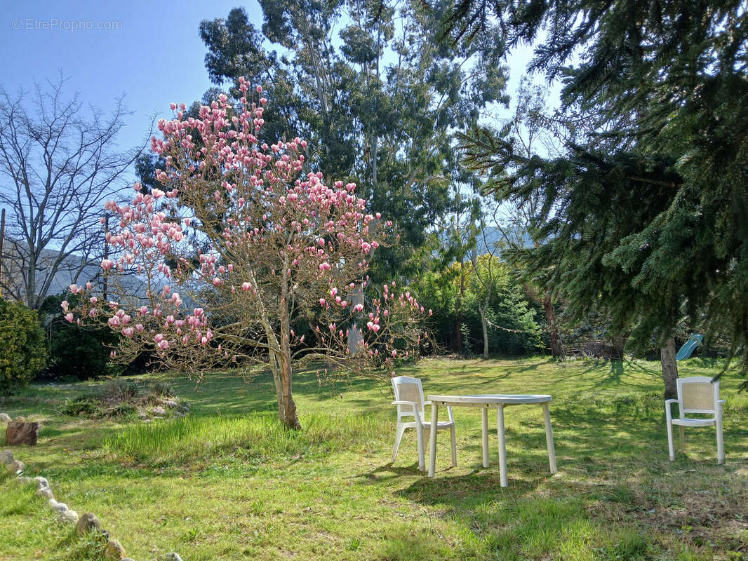 Maison à REYNES
