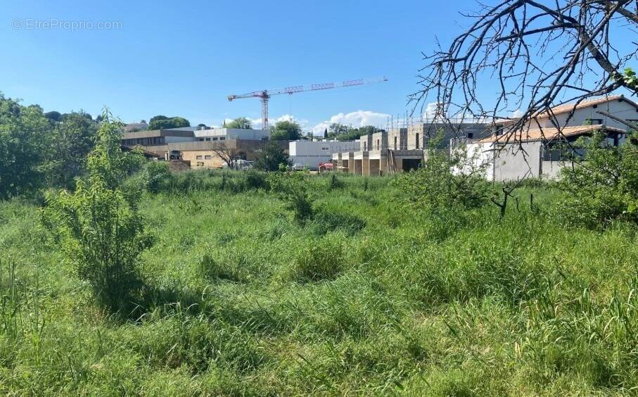 Terrain à MARAUSSAN