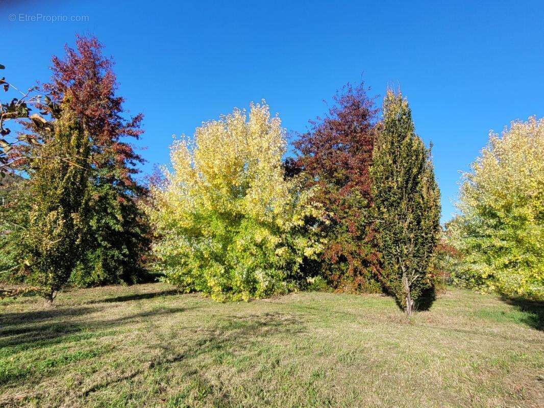 Commerce à CASTELNAU-DE-LEVIS