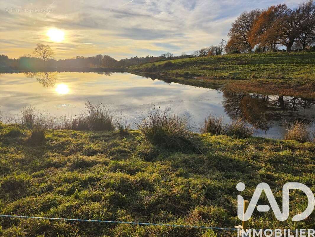 Photo 3 - Terrain à LE BUIS