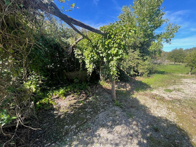 Maison à SAINT-MICHEL-DE-DOUBLE