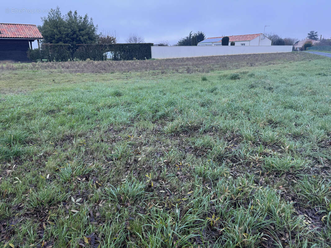 Terrain à SAINTE-HERMINE
