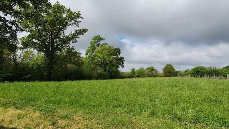 Dpt Gers (32), à vendre AYZIEU maison P6 - photo 15