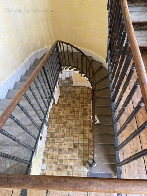 Château XVIIIᵉ   Projet de division en plusieurs logements   Parc 11 400 m2 - photo 10