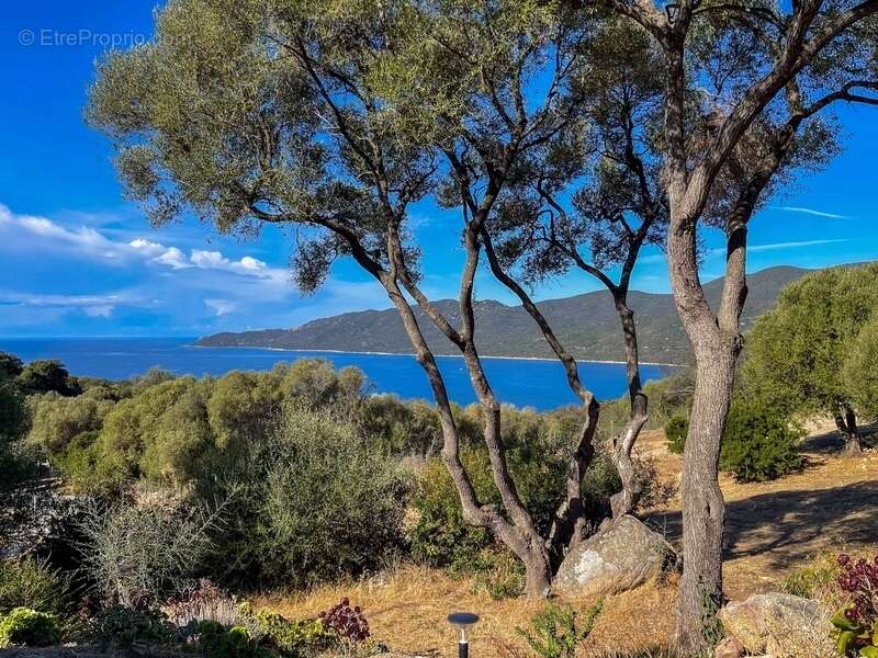 Villa à vendre 3 pièces SERRA DI FERRO (20) - photo 2