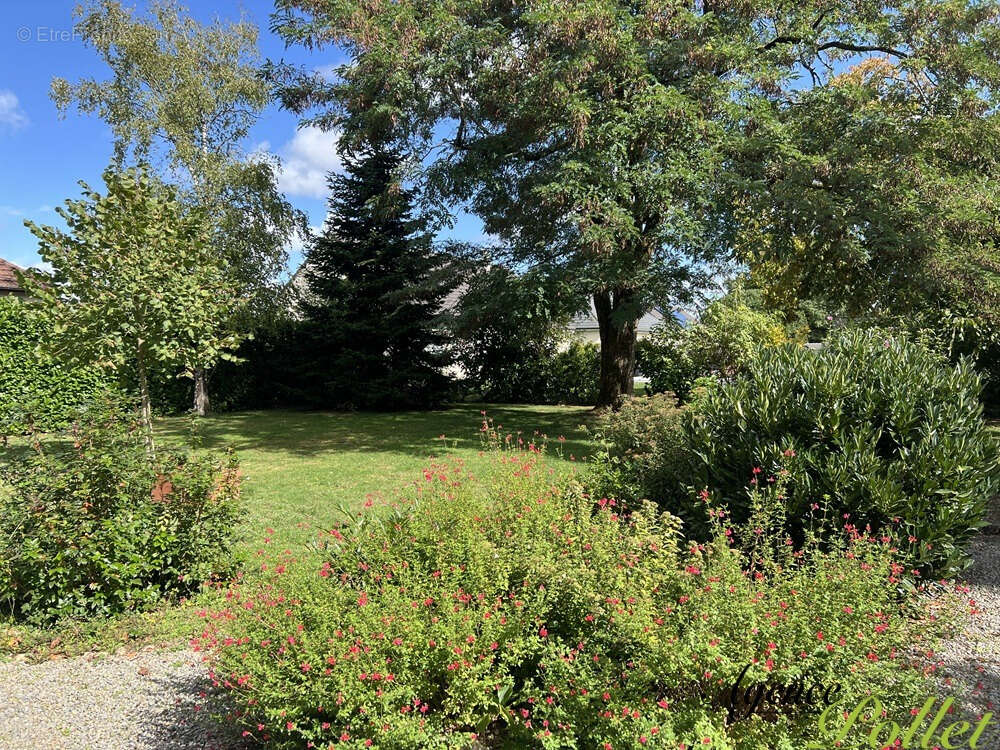 Maison à AUBIGNY-SUR-NERE