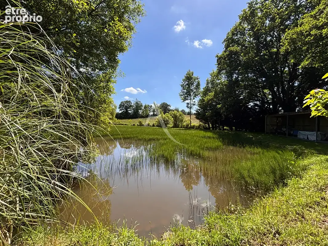 Terrain de loisirs Andouille - photo 4