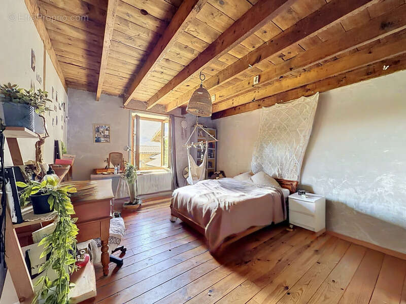 Grande maison de caractère - 356 m² sur terrain de 28 000m2 - Albon - photo 10