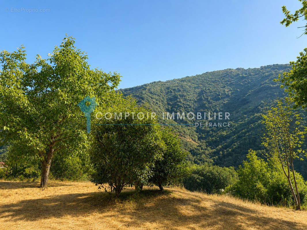 Meyras   Maison individuelle avec 3 800 m2 de terrain attenant, bois et vue dégagée - photo 16