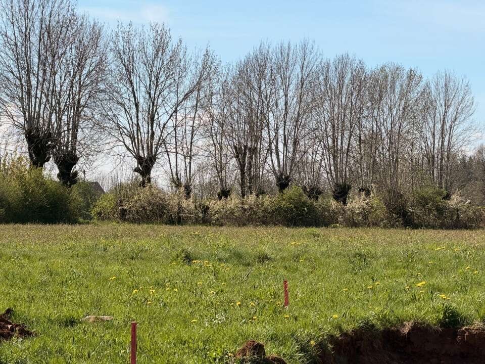 Terrain à THERONDELS