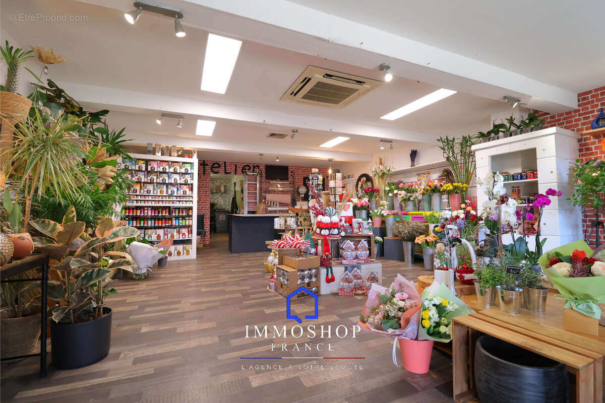 Commerce à PLAN-DE-CUQUES