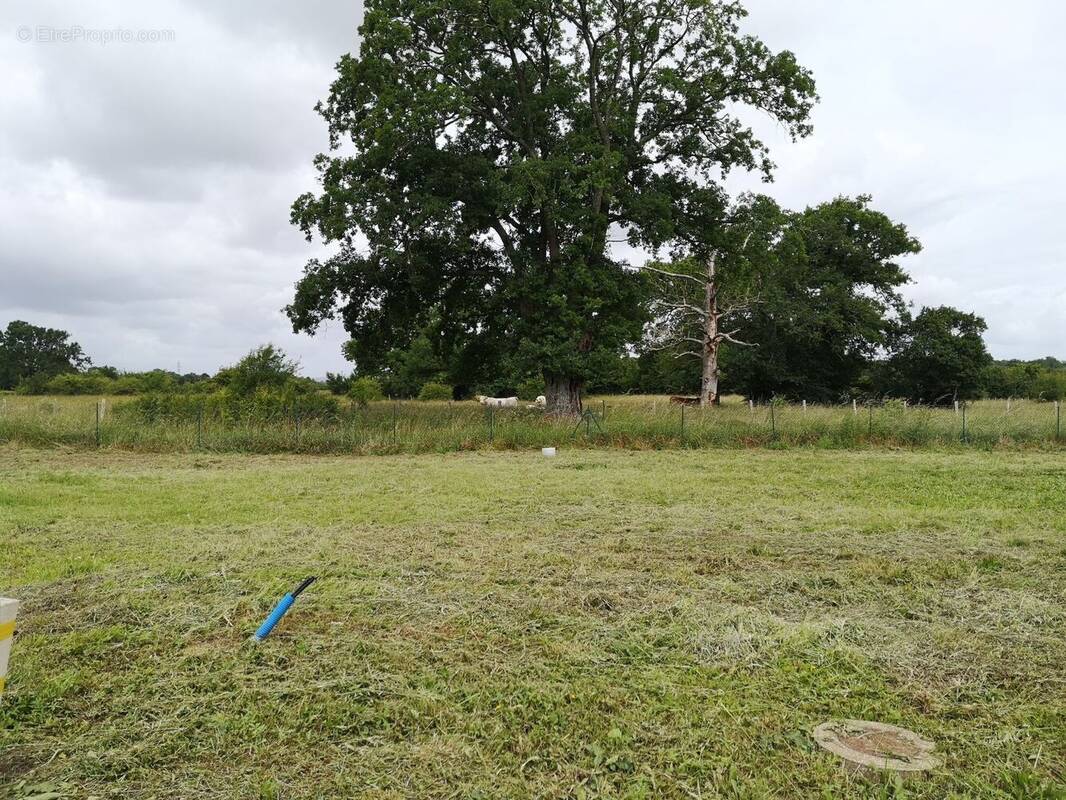Terrain à SAINT-OUEN-DE-MIMBRE