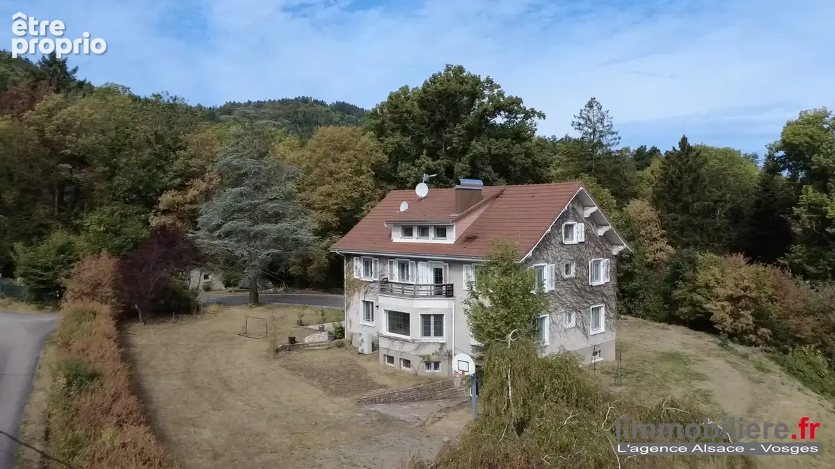 Maison 350 m² à Saint-Die-Des-Vosges  - photo 6