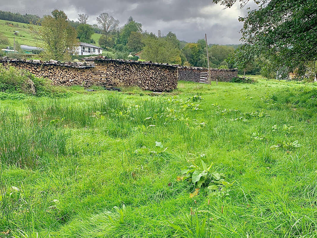 Terrain à MANDRAY