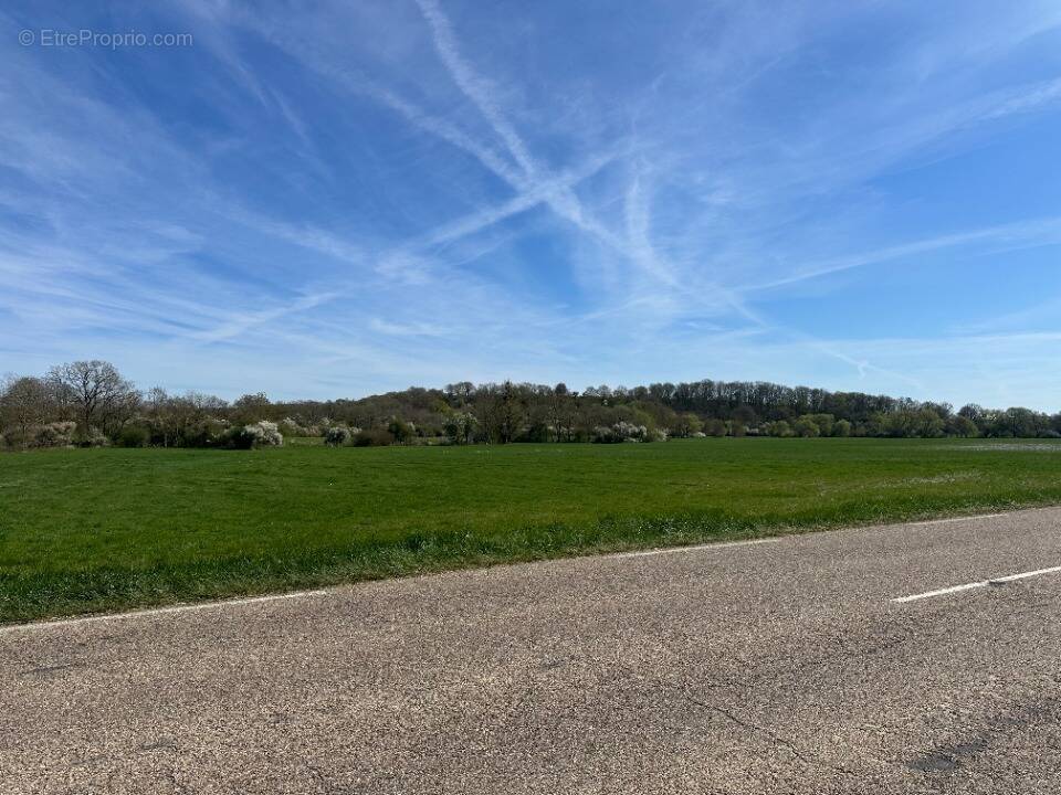 Terrain à LUTTANGE