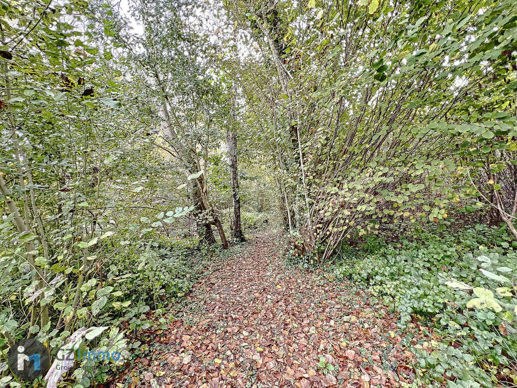 Photo 7 - Terrain à SAINT-MESMIN