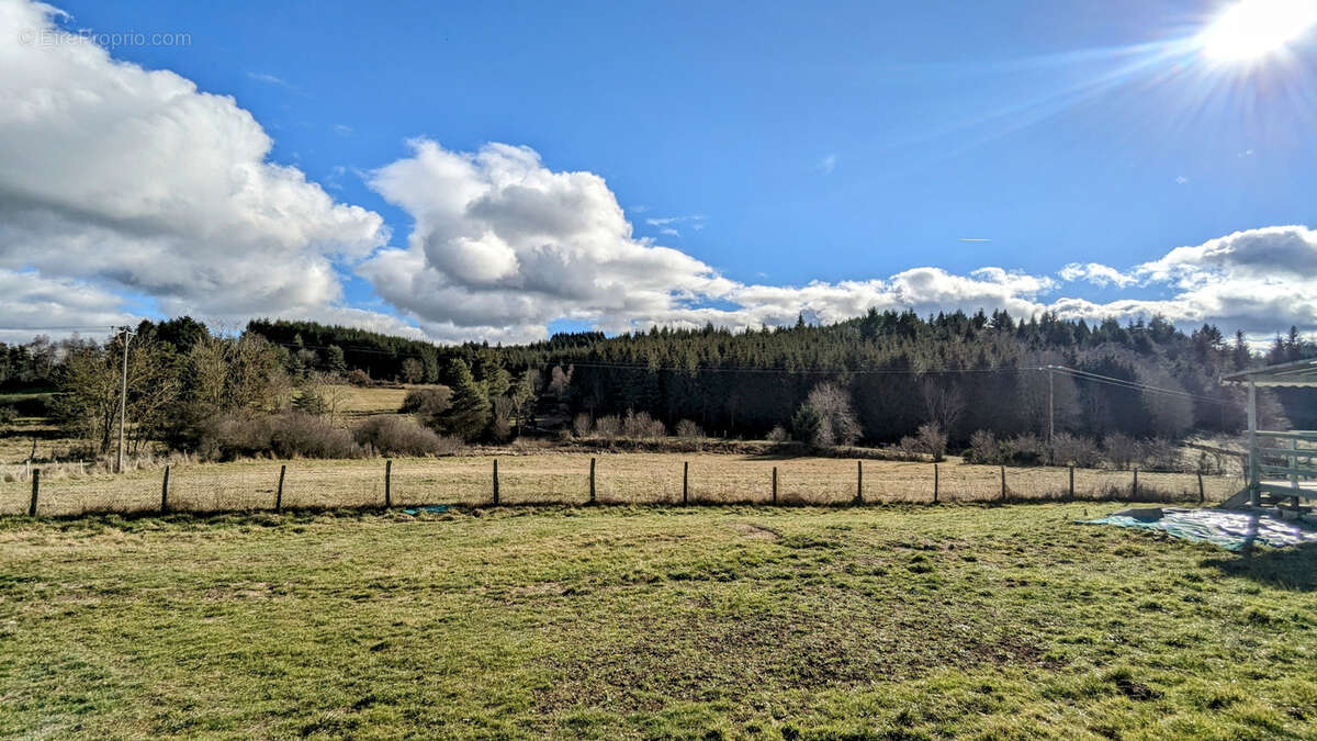 Terrain à MERLE-LEIGNEC