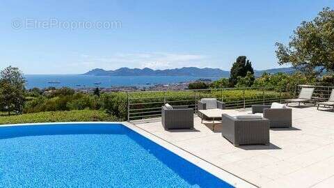 Maison 481 m² à Cannes  - photo 2