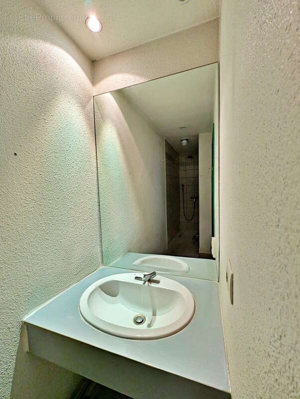 salle d'eau avec douche - Appartement à LYON-7E