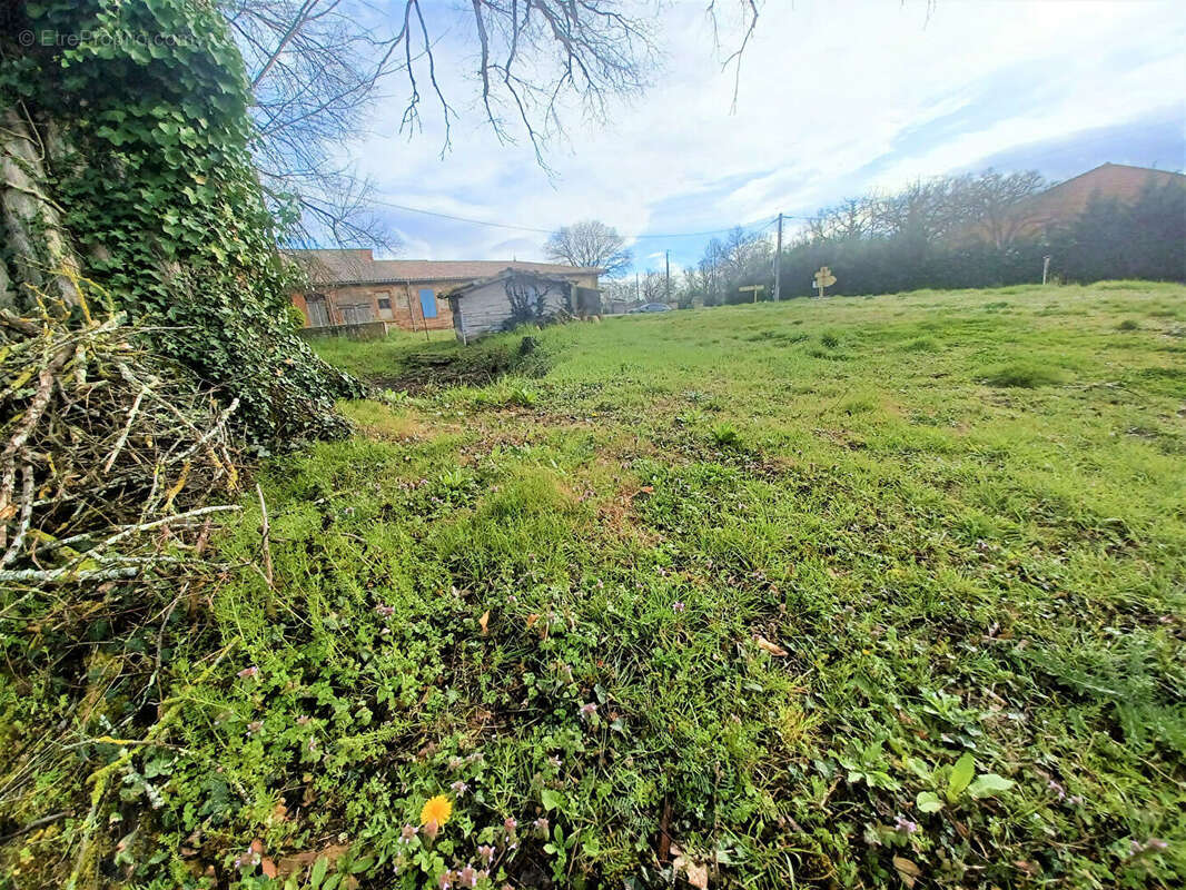 Terrain à FRONTON