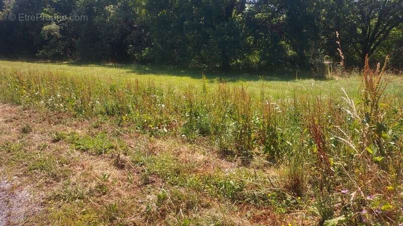 Terrain à vendre de 819,00 m² MASCLAT (46) - photo 2